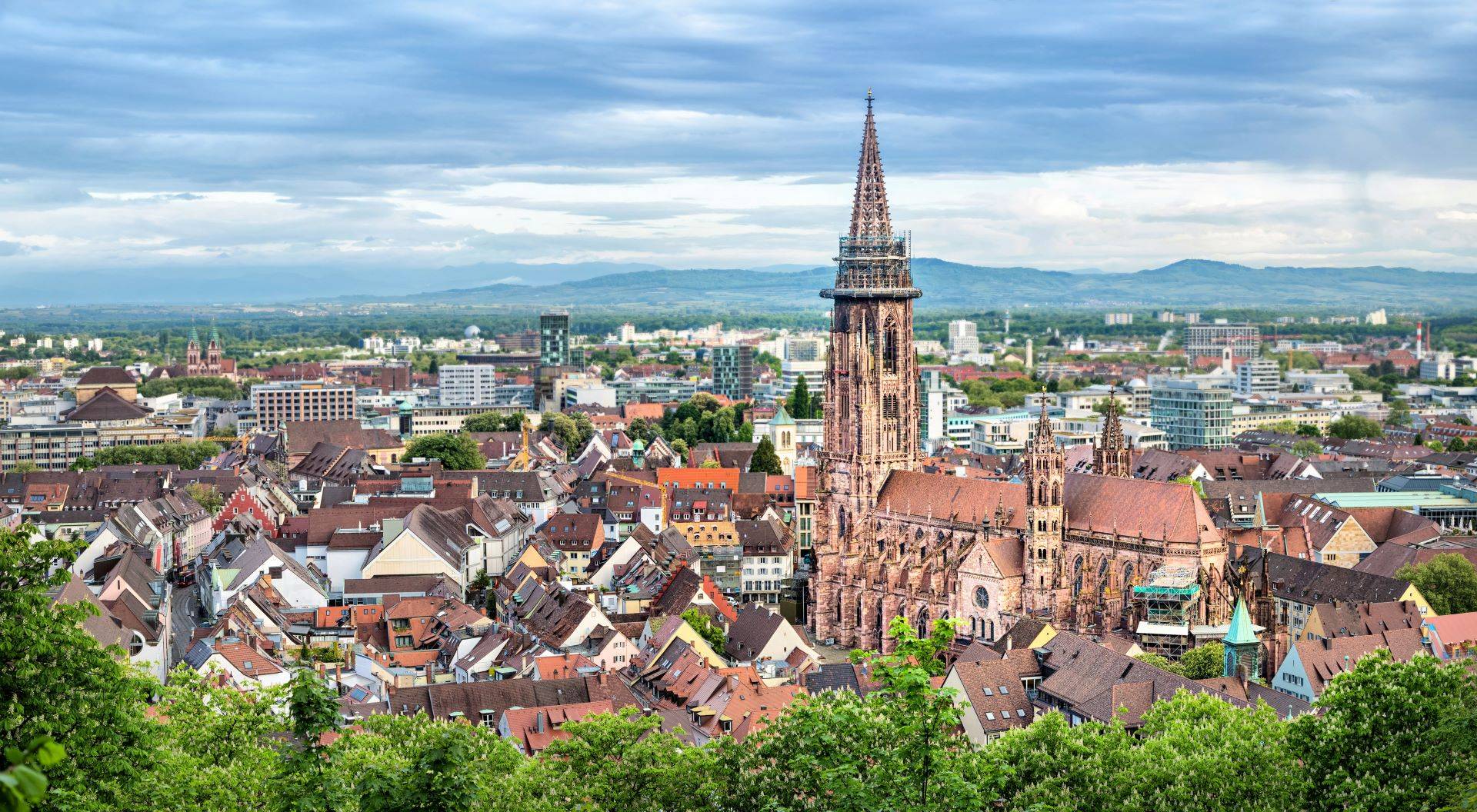 Blick auf Freiburg und das Freiburger Münster